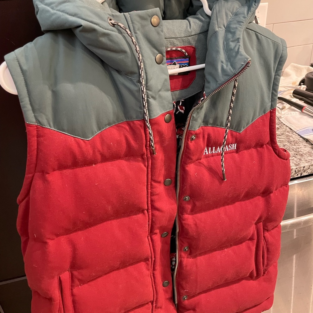 Patagonia Hooded Down Vest